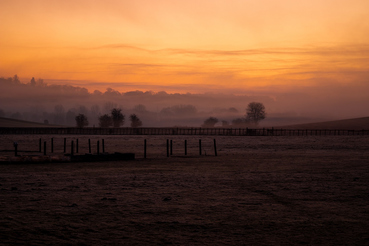 Automotive 2 - Adam Castelow