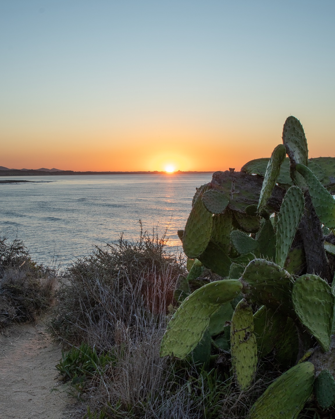 Automotive 2 - Adam Castelow