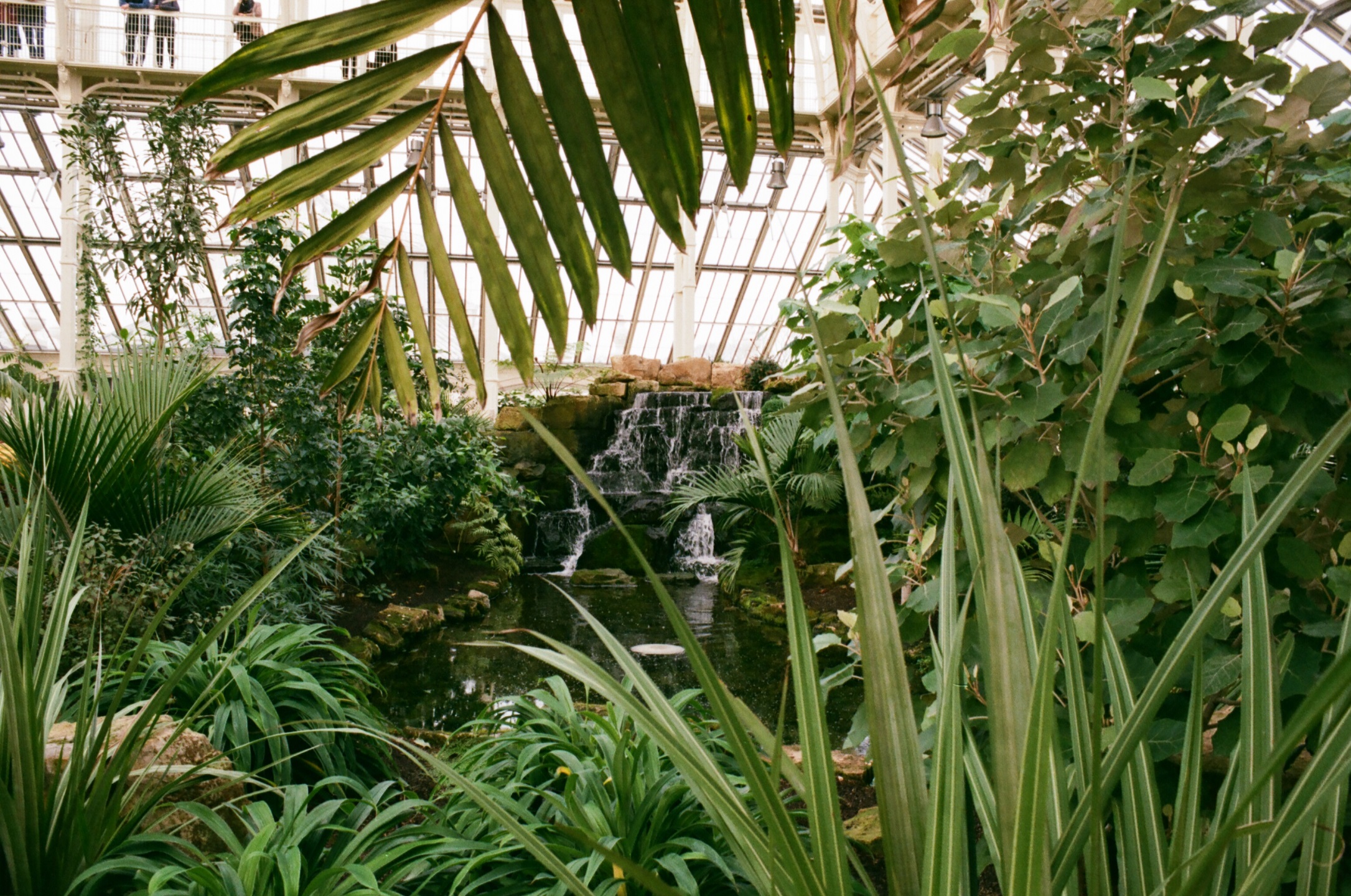 Automotive 2 - Adam Castelow