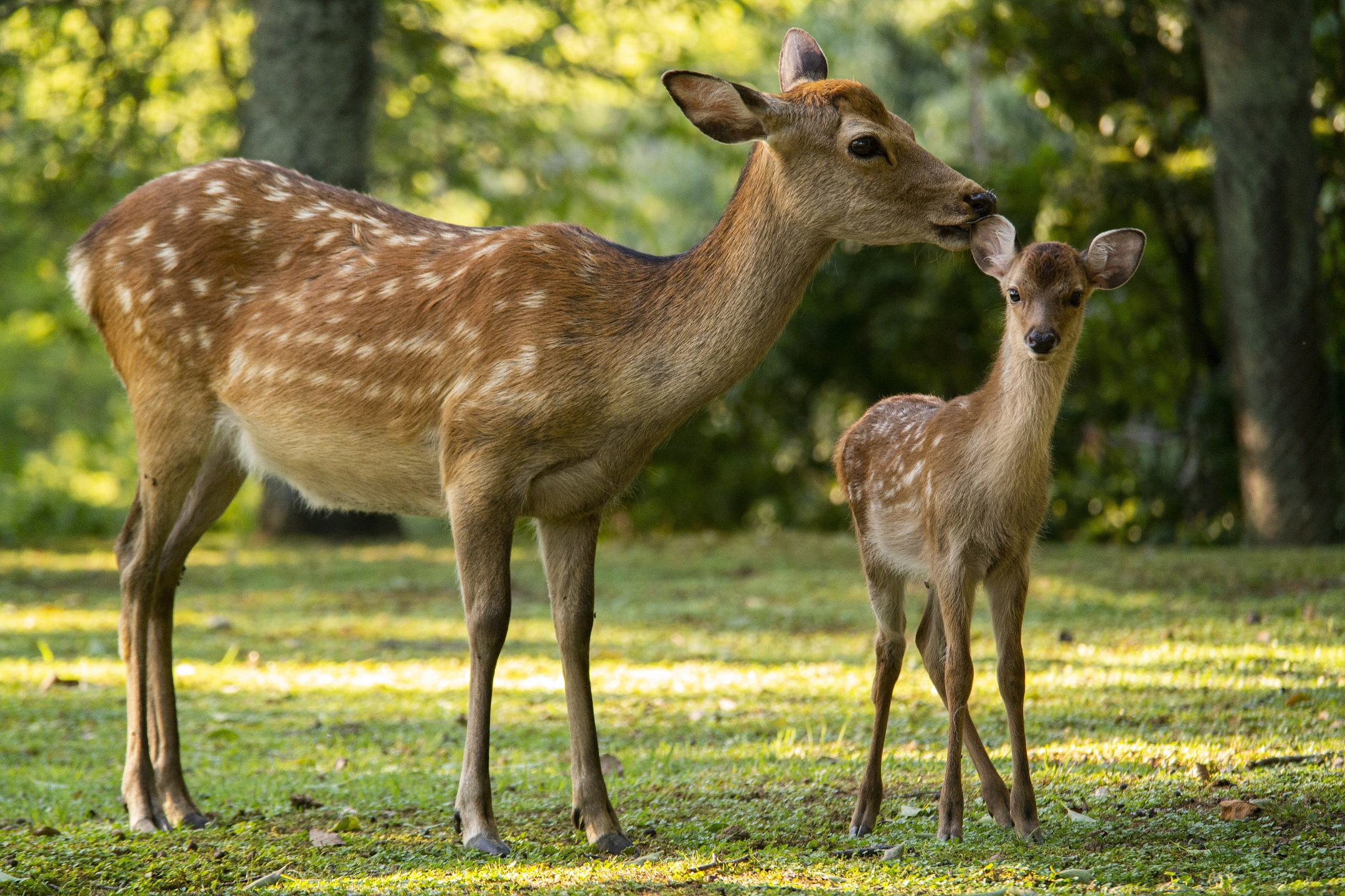 Automotive 2 - Adam Castelow