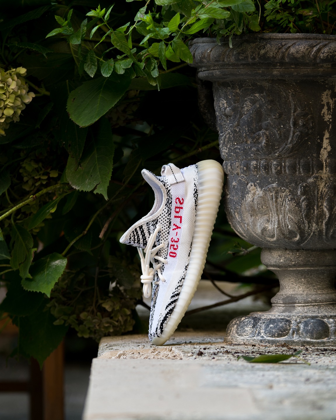 Automotive 2 - Adam Castelow